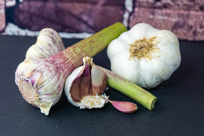 Knoblauch -大蒜