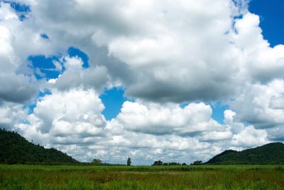 甘蔗和山区农场