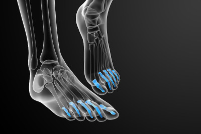 趾骨足的3d渲染医学插图