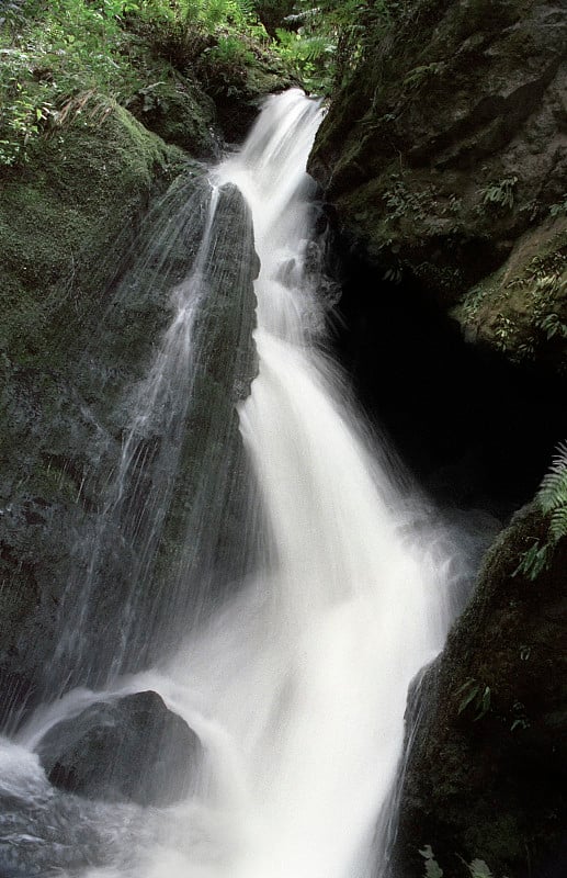 Tropical Waterfall