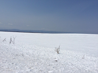 北海道雪景