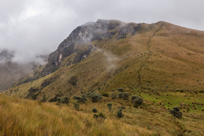秃鹰华查纳峰，皮钦查火山，基多