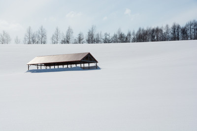 冬季牧场