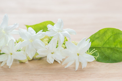 一张木桌上的茉莉花特写