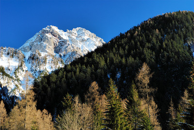 山