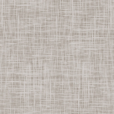 画布的背景