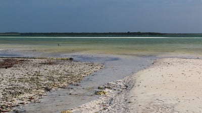非洲海滩，非洲坦桑尼亚的自然景观。非洲旅行。旅游热。