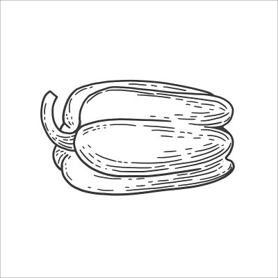 手绘胡椒插图复古风格
