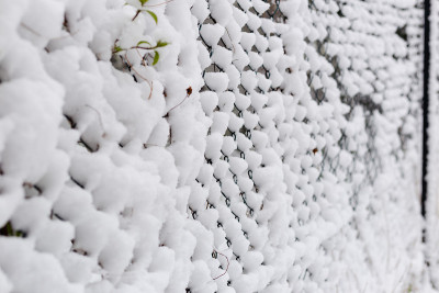 铁丝栅栏上覆盖着新雪