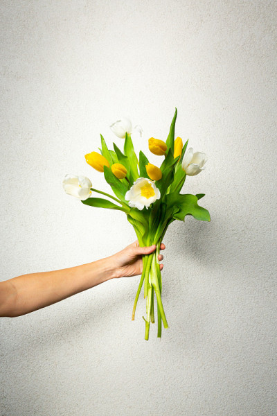 白色背景上的郁金香花束
