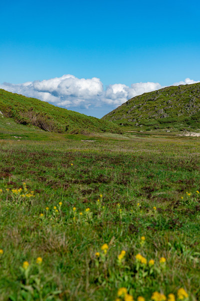 夏天的风景Kurodake峰会,北海道。