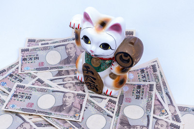 一只吸引人的猫和金钱来创造幸福。
