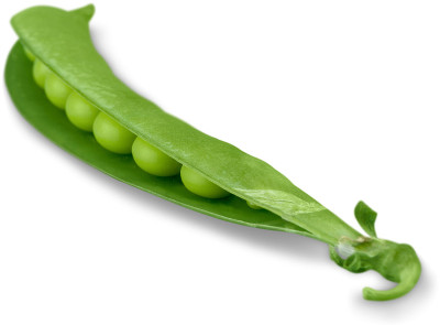 豌豆豆瓣。