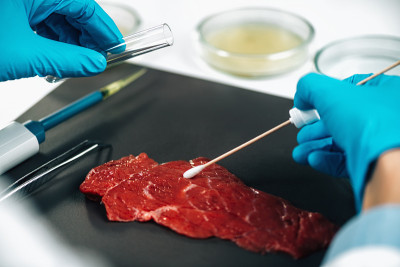 食品安全检查员用棉签取样红肉表面以寻找病原体的存在