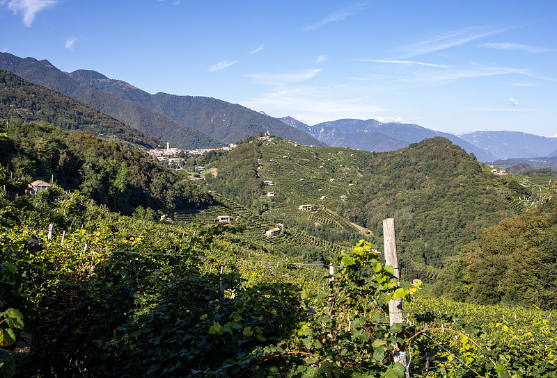 风景如画的山与葡萄园的普洛赛科起泡酒地区在圭埃塔和圭亚。意大利。