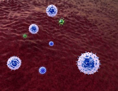 病毒,T-lymphocyt
