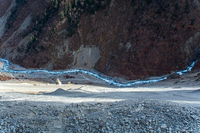 山谷中的河流，从悬崖俯瞰，山上的松树林，安纳普尔纳保护区，尼泊尔