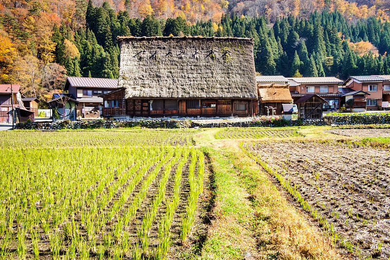 白川岗和戈山的历史村落