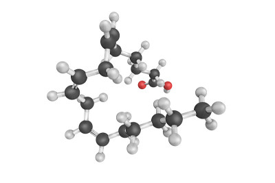 γ-亚麻酸或GLA (γ-亚麻酸)的三维结构，一种主要在植物油中发现的脂肪酸