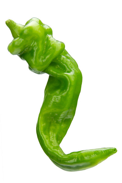 辣椒