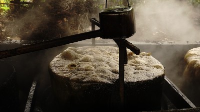 沸腾