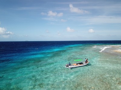 Uninhabited Island