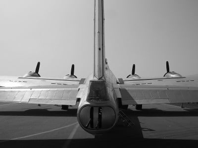 b -尾