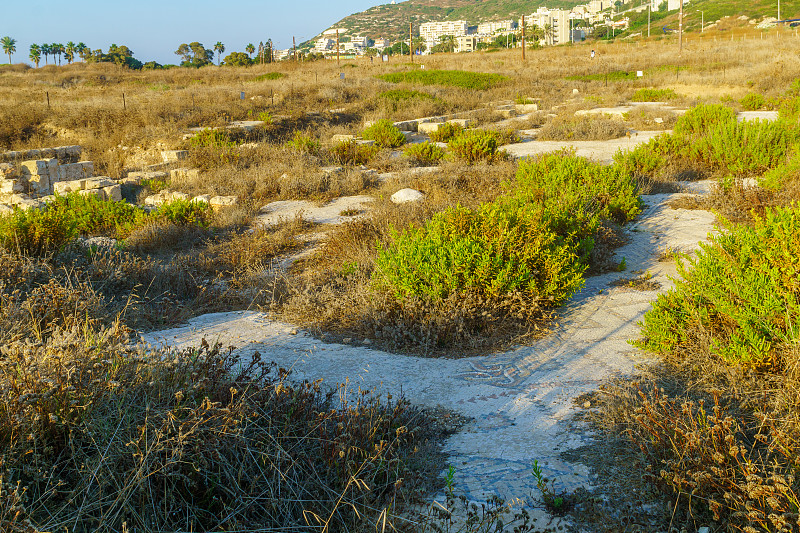 Tel Shikmona，靠近海法的地中海海岸