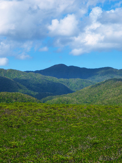 冲绳县Iriomote岛的风景