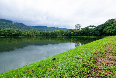 绿草如茵的风景，湖的景色，在自然森林里，山景，春天的蓝天和白云的背景。