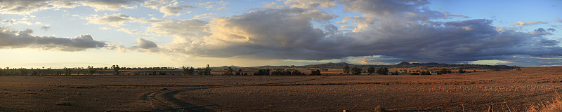 在Gunnedah，新南威尔士州，澳大利亚农村的干旱，干旱的农田全景