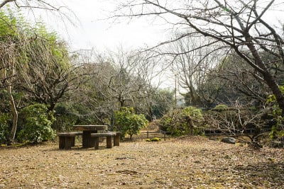 须野偕园公园广场