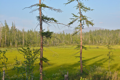 夏季北部风景。
