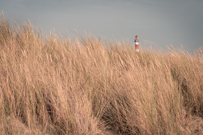 灯塔Bornrif Ameland，海洋景观，清澈的蓝色多云的天空在沙丘，高沙丘草，明信片，背景，荷