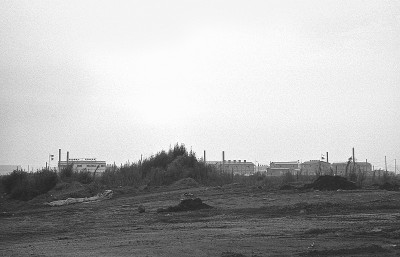 东京湾和大井