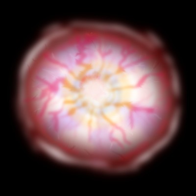 生物分