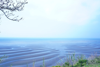 低潮前UTO市的海岸