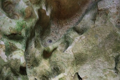 熊洞-熊洞，在熊洞星云的梦乡，Sonnenbühl,Genkingen- Swabian Alb，德