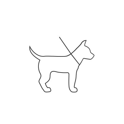 狗线图标上的白色。向量