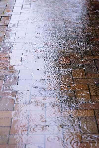 雨