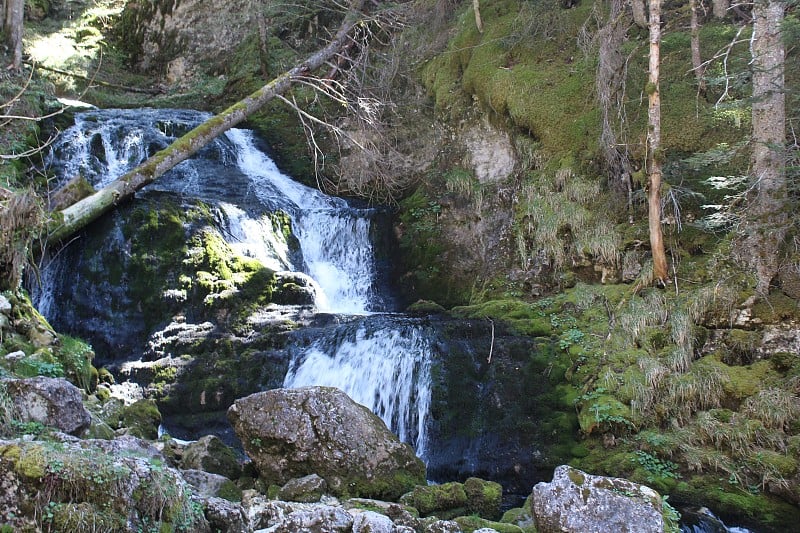 峡谷DU BRUYANT - LANS EN VERCORS - ISERE -法国