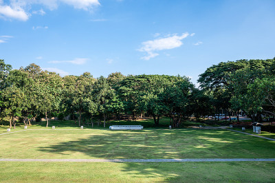 公园，绿树成荫，蓝天碧水