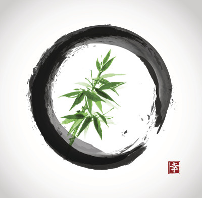 青竹在黑色enso圈