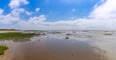 瓦登海的全景景观与反射在浅水