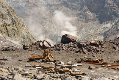 白岛火山口内的浮木