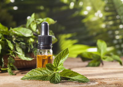 薄荷精油