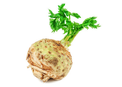 生芹菜根