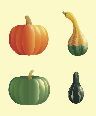 南瓜矢量插图