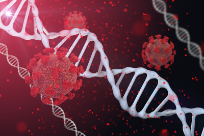 DNA分子背景上的冠状病毒。三维渲染
