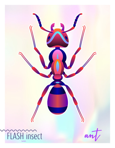 摘要昆虫插图